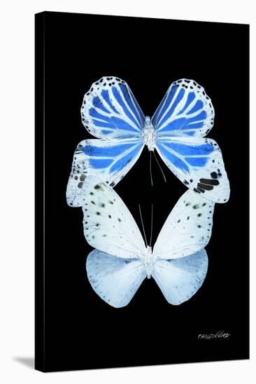 Miss Butterfly Duo Salateuploea II - X-Ray Black Edition-Philippe Hugonnard-Stretched Canvas