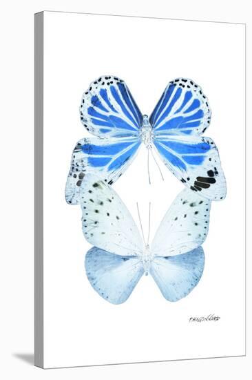 Miss Butterfly Duo Salateuploea II - X-Ray White Edition-Philippe Hugonnard-Stretched Canvas
