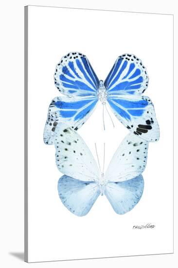 Miss Butterfly Duo Salateuploea II - X-Ray White Edition-Philippe Hugonnard-Stretched Canvas