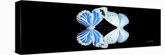 Miss Butterfly Duo Salateuploea Pan - X-Ray Black Edition-Philippe Hugonnard-Stretched Canvas