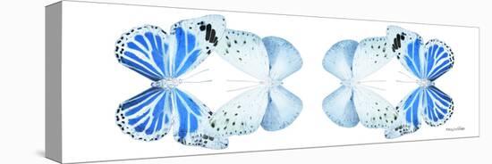 Miss Butterfly Duo Salateuploea Pan - X-Ray White Edition II-Philippe Hugonnard-Stretched Canvas