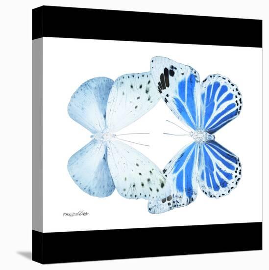 Miss Butterfly Duo Salateuploea Sq - X-Ray B&W Edition-Philippe Hugonnard-Stretched Canvas