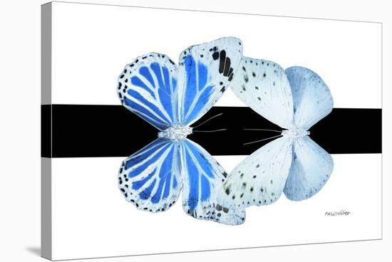Miss Butterfly Duo Salateuploea - X-Ray B&W Edition-Philippe Hugonnard-Stretched Canvas