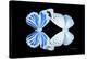 Miss Butterfly Duo Salateuploea - X-Ray Black Edition-Philippe Hugonnard-Premier Image Canvas