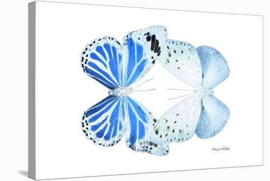 Miss Butterfly Duo Salateuploea - X-Ray White Edition-Philippe Hugonnard-Stretched Canvas