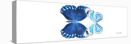 Miss Butterfly Duo Stichatura Pan - X-Ray White Edition-Philippe Hugonnard-Stretched Canvas