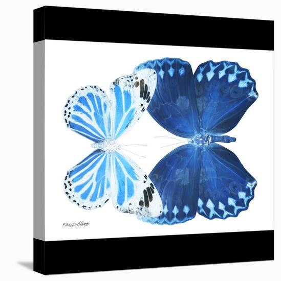 Miss Butterfly Duo Stichatura Sq - X-Ray B&W Edition-Philippe Hugonnard-Stretched Canvas