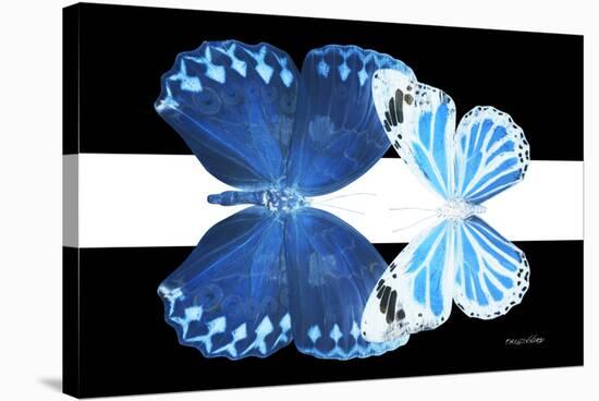 Miss Butterfly Duo Stichatura - X-Ray B&W Edition II-Philippe Hugonnard-Stretched Canvas