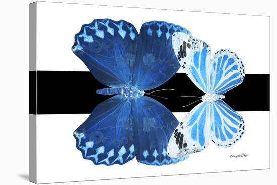 Miss Butterfly Duo Stichatura - X-Ray B&W Edition-Philippe Hugonnard-Stretched Canvas