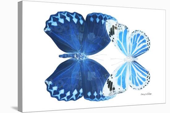 Miss Butterfly Duo Stichatura - X-Ray White Edition-Philippe Hugonnard-Stretched Canvas