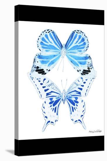 Miss Butterfly Duo Xugenutia II - X-Ray B&W Edition-Philippe Hugonnard-Stretched Canvas