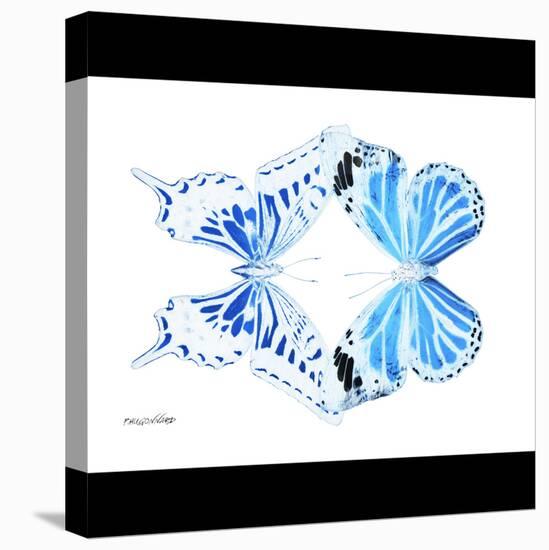 Miss Butterfly Duo Xugenutia Sq - X-Ray B&W Edition-Philippe Hugonnard-Stretched Canvas