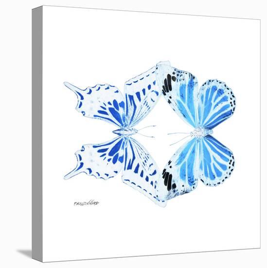 Miss Butterfly Duo Xugenutia Sq - X-Ray White Edition-Philippe Hugonnard-Stretched Canvas