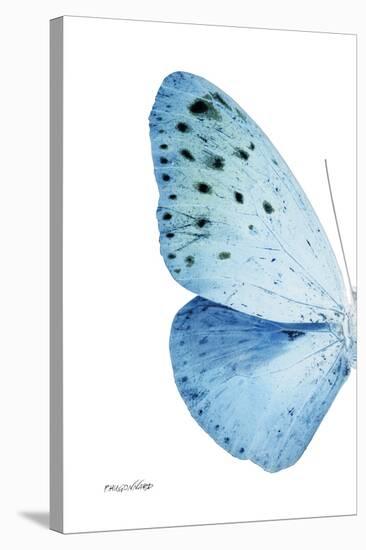 Miss Butterfly Euploea - X-Ray Left White Edition-Philippe Hugonnard-Premier Image Canvas