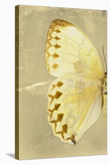 Miss Butterfly Formosana Profil - Yellow-Philippe Hugonnard-Stretched Canvas