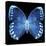 Miss Butterfly Formosana Sq - X-Ray Black Edition-Philippe Hugonnard-Stretched Canvas