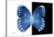 Miss Butterfly Formosana - X-Ray B&W Edition-Philippe Hugonnard-Premier Image Canvas