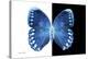 Miss Butterfly Formosana - X-Ray B&W Edition-Philippe Hugonnard-Stretched Canvas