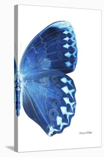 Miss Butterfly Formosana - X-Ray Right White Edition-Philippe Hugonnard-Stretched Canvas