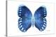 Miss Butterfly Formosana - X-Ray White Edition-Philippe Hugonnard-Premier Image Canvas