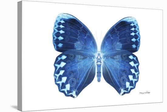 Miss Butterfly Formosana - X-Ray White Edition-Philippe Hugonnard-Stretched Canvas