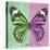 Miss Butterfly Genutia Sq - Green & Pink-Philippe Hugonnard-Stretched Canvas