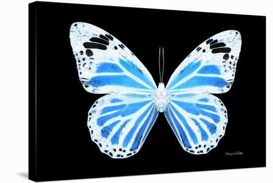 Miss Butterfly Genutia - X-Ray Black Edition-Philippe Hugonnard-Stretched Canvas