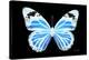 Miss Butterfly Genutia - X-Ray Black Edition-Philippe Hugonnard-Stretched Canvas