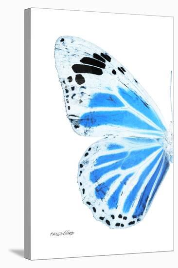 Miss Butterfly Genutia - X-Ray Left White Edition-Philippe Hugonnard-Stretched Canvas