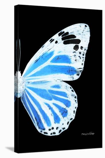 Miss Butterfly Genutia - X-Ray Right Black Edition-Philippe Hugonnard-Stretched Canvas