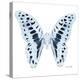 Miss Butterfly Graphium Sq - X-Ray White Edition-Philippe Hugonnard-Stretched Canvas
