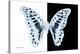 Miss Butterfly Graphium - X-Ray B&W Edition-Philippe Hugonnard-Stretched Canvas