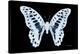 Miss Butterfly Graphium - X-Ray Black Edition-Philippe Hugonnard-Premier Image Canvas