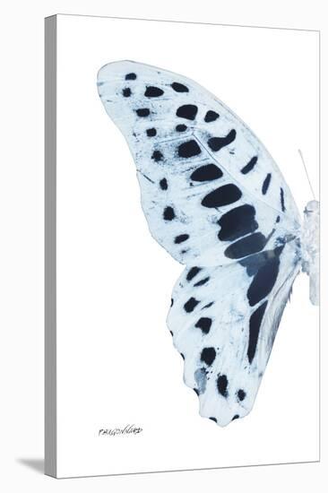 Miss Butterfly Graphium - X-Ray Left White Edition-Philippe Hugonnard-Stretched Canvas