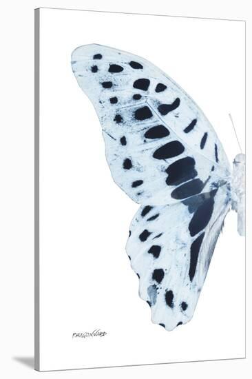 Miss Butterfly Graphium - X-Ray Left White Edition-Philippe Hugonnard-Stretched Canvas