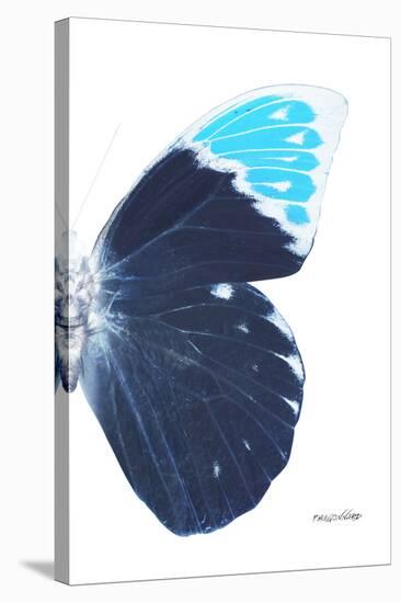 Miss Butterfly Hebomoia - X-Ray Right White Edition-Philippe Hugonnard-Stretched Canvas