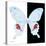 Miss Butterfly Hermosanus Sq - X-Ray B&W Edition-Philippe Hugonnard-Stretched Canvas