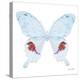 Miss Butterfly Hermosanus Sq - X-Ray White Edition-Philippe Hugonnard-Stretched Canvas