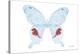 Miss Butterfly Hermosanus - X-Ray White Edition-Philippe Hugonnard-Stretched Canvas