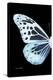 Miss Butterfly Melaneus - X-Ray Left Black Edition-Philippe Hugonnard-Stretched Canvas