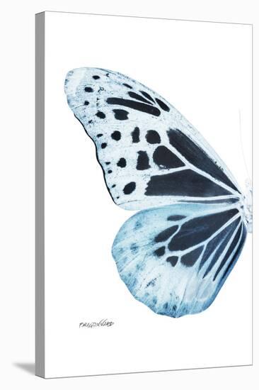 Miss Butterfly Melaneus - X-Ray Left White Edition-Philippe Hugonnard-Stretched Canvas