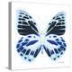 Miss Butterfly Prioneris Sq - X-Ray White Edition-Philippe Hugonnard-Stretched Canvas