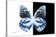 Miss Butterfly Prioneris - X-Ray B&W Edition-Philippe Hugonnard-Premier Image Canvas