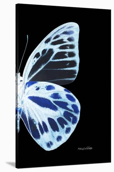 Miss Butterfly Prioneris - X-Ray Right Black Edition-Philippe Hugonnard-Stretched Canvas