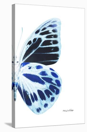 Miss Butterfly Prioneris - X-Ray Right White Edition-Philippe Hugonnard-Stretched Canvas