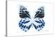 Miss Butterfly Prioneris - X-Ray White Edition-Philippe Hugonnard-Premier Image Canvas