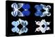 Miss Butterfly X-Ray Duo Black II-Philippe Hugonnard-Premier Image Canvas