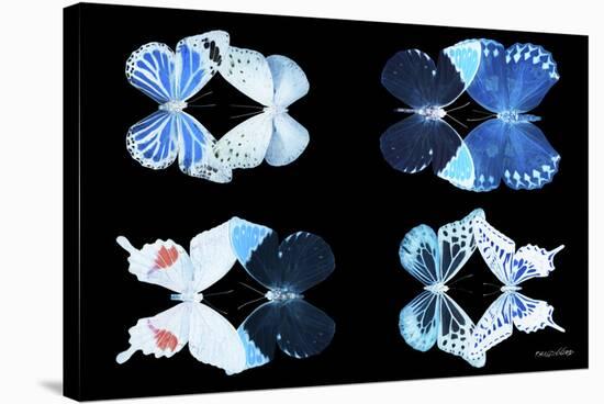 Miss Butterfly X-Ray Duo Black III-Philippe Hugonnard-Stretched Canvas