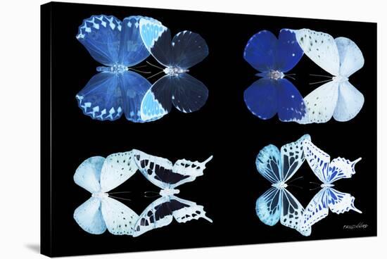 Miss Butterfly X-Ray Duo Black IV-Philippe Hugonnard-Stretched Canvas
