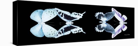 Miss Butterfly X-Ray Duo Black Pano IX-Philippe Hugonnard-Stretched Canvas